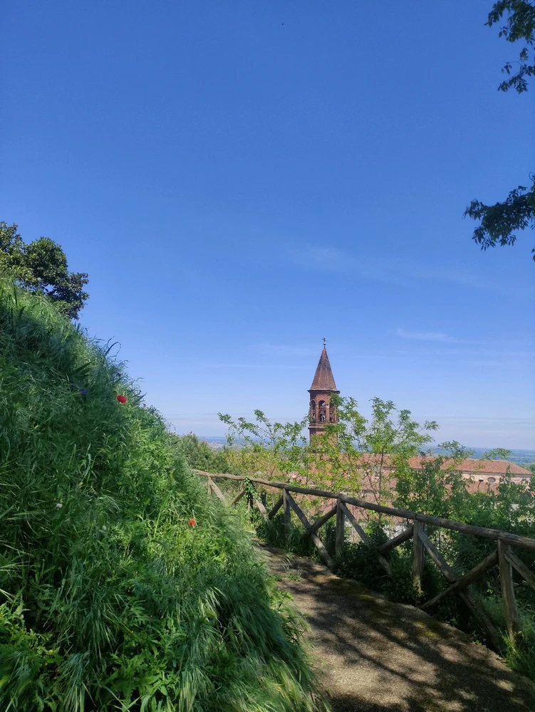 Immagine caricata da CX