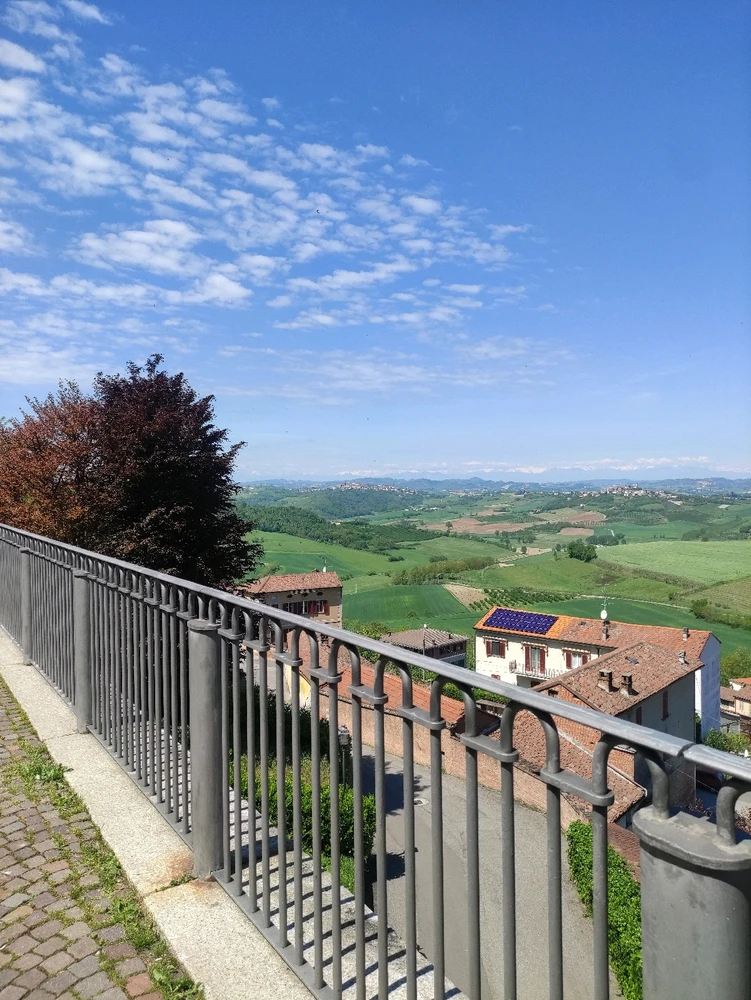 Immagine caricata da CX