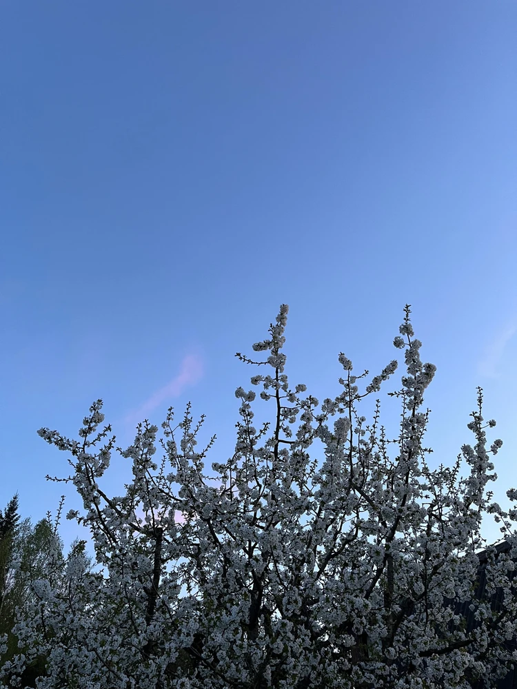 Фото загрузил Наталья