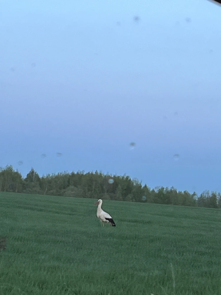 Фото загрузил Наталья