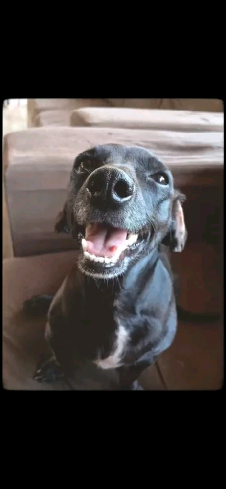 GIF enviado por yssa