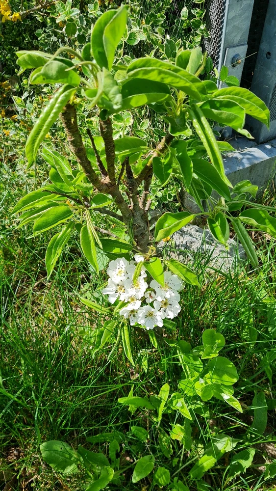 GIF diunggah dening Lída