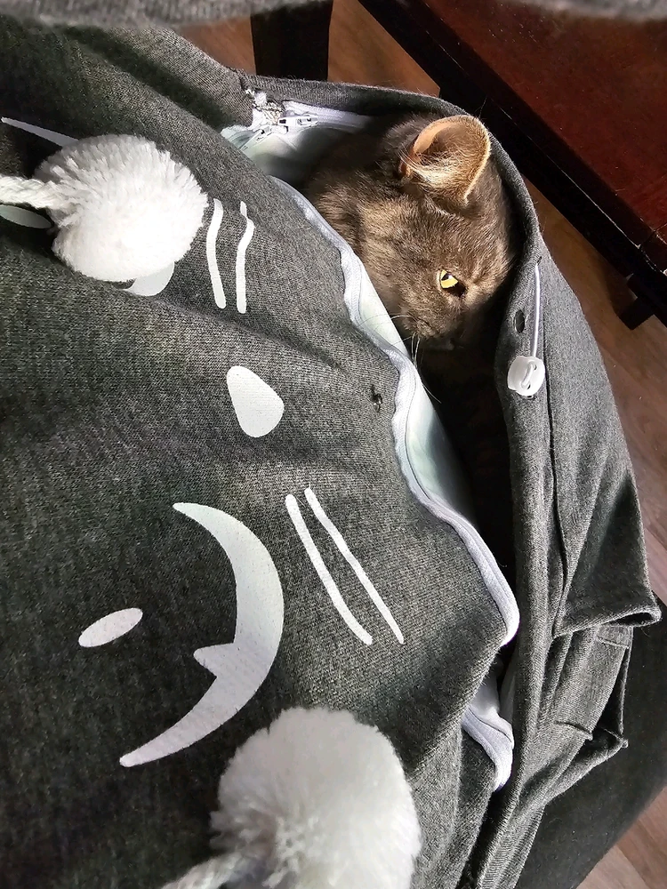 GIF uploaded by Sasha
