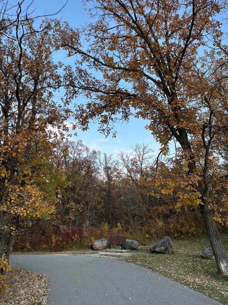 Image uploaded by Kateryna