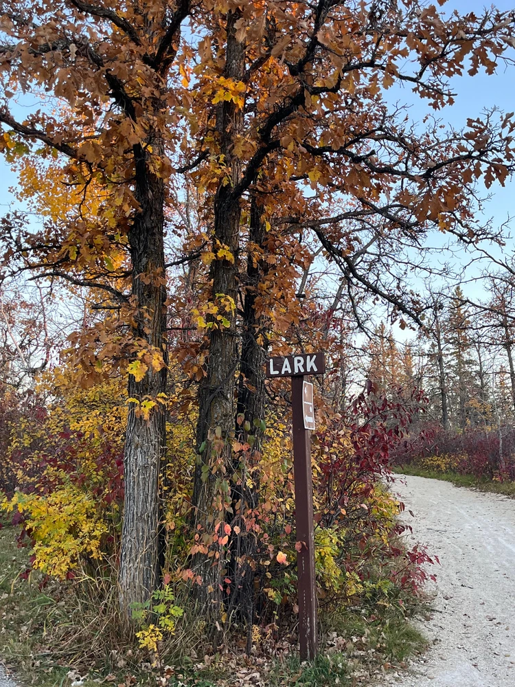 Image uploaded by Kateryna