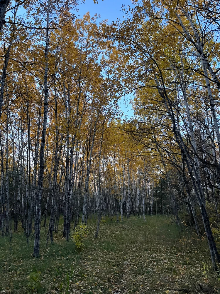 Image uploaded by Kateryna