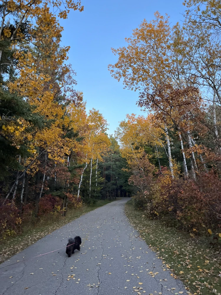 Image uploaded by Kateryna