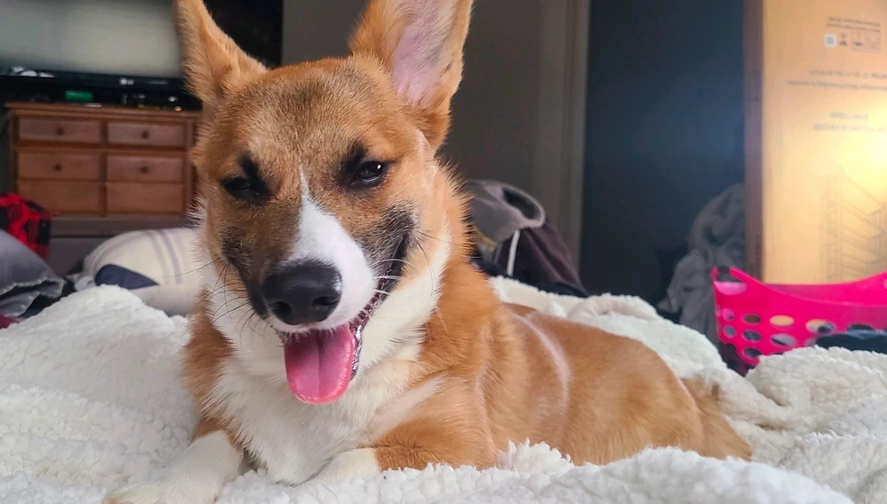 GIF uploaded by Cody