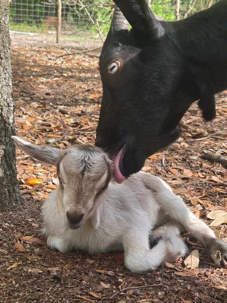 GIF uploaded by Tyler