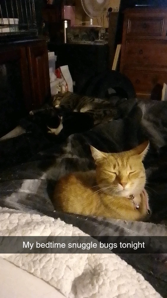 Image uploaded by Ashley