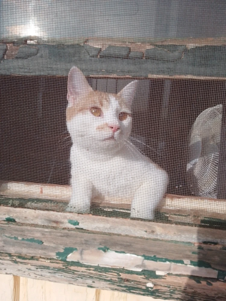 Image uploaded by Ashley