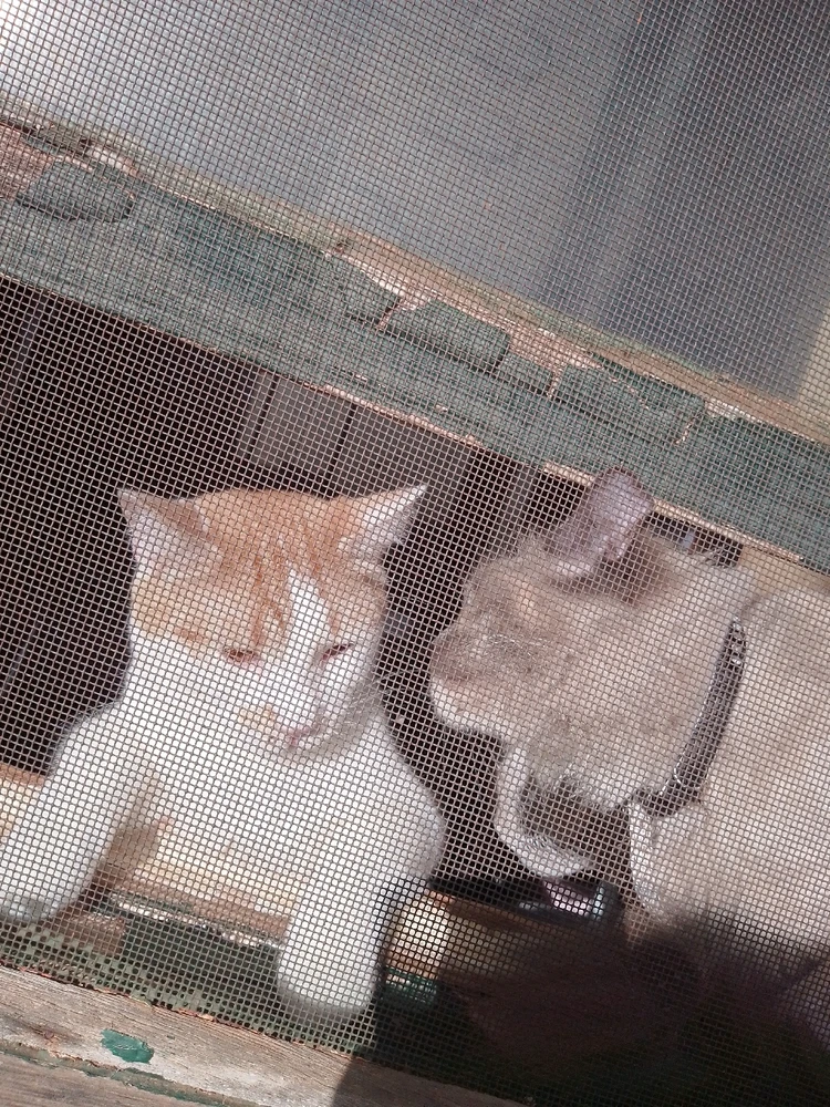 Image uploaded by Ashley