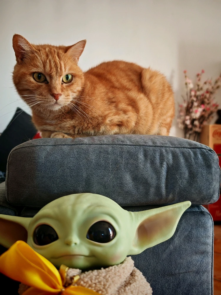 GIF caricata da Federico