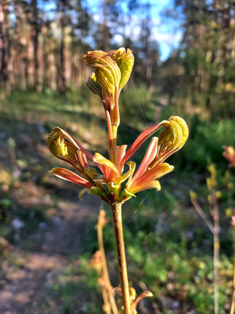 Image uploaded by Mike