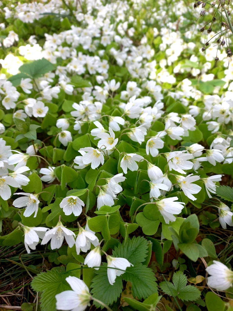 Image uploaded by Mike