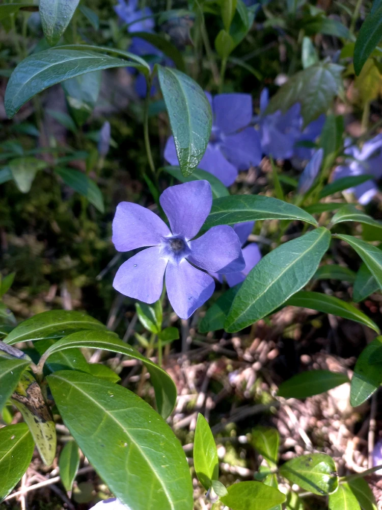 Image uploaded by Mike