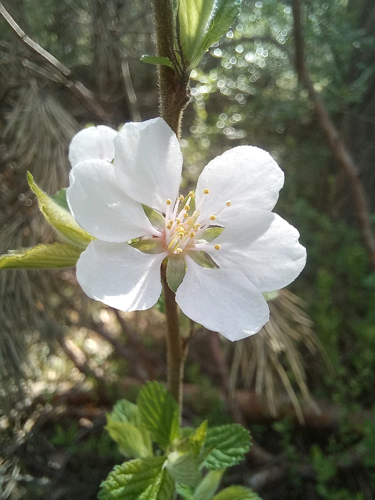 Image uploaded by Mike