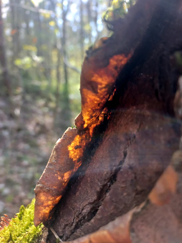 Image uploaded by Mike