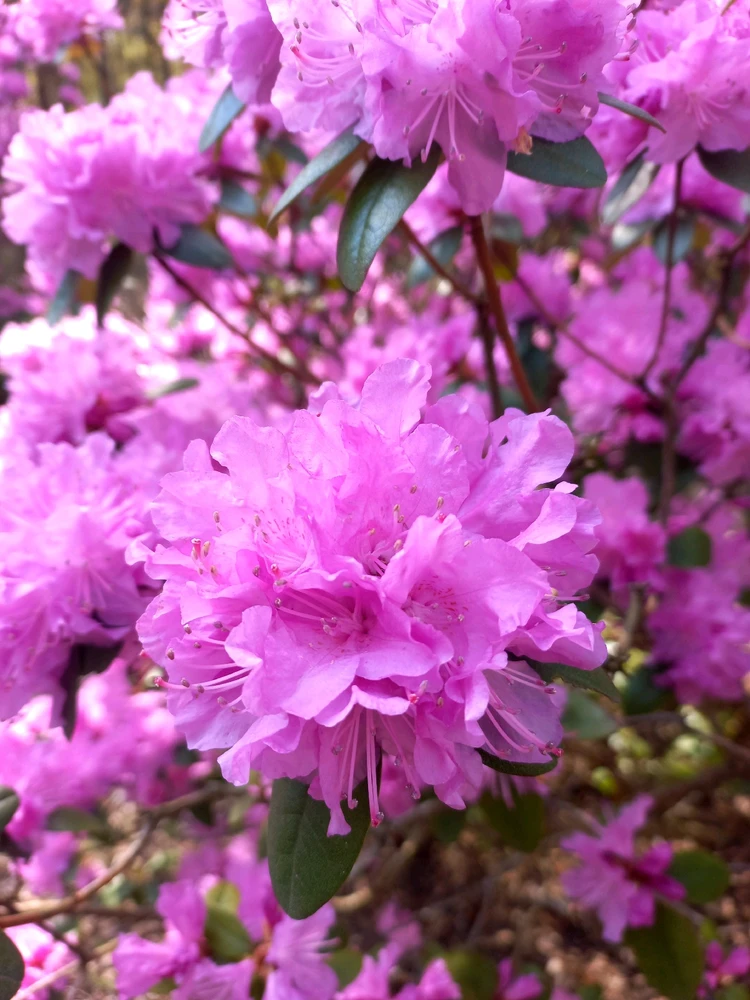 Image uploaded by Mike