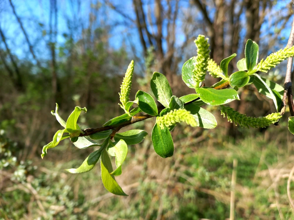 Image uploaded by Mike