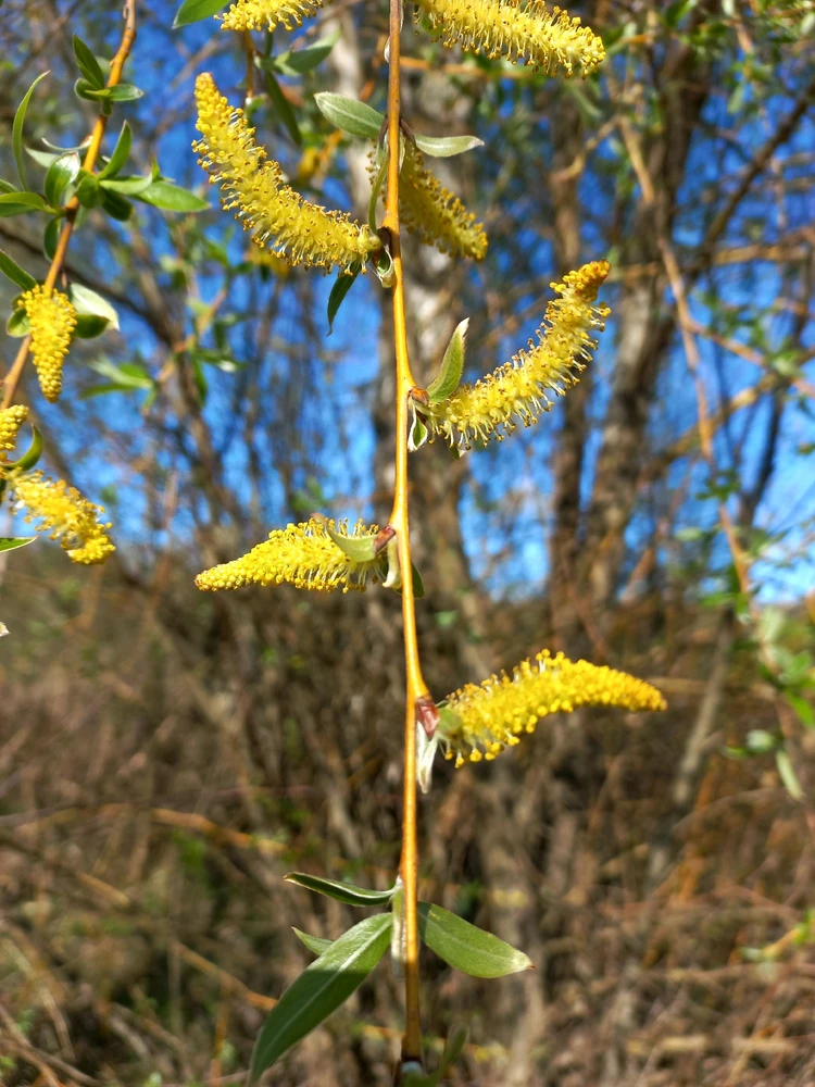 Image uploaded by Mike