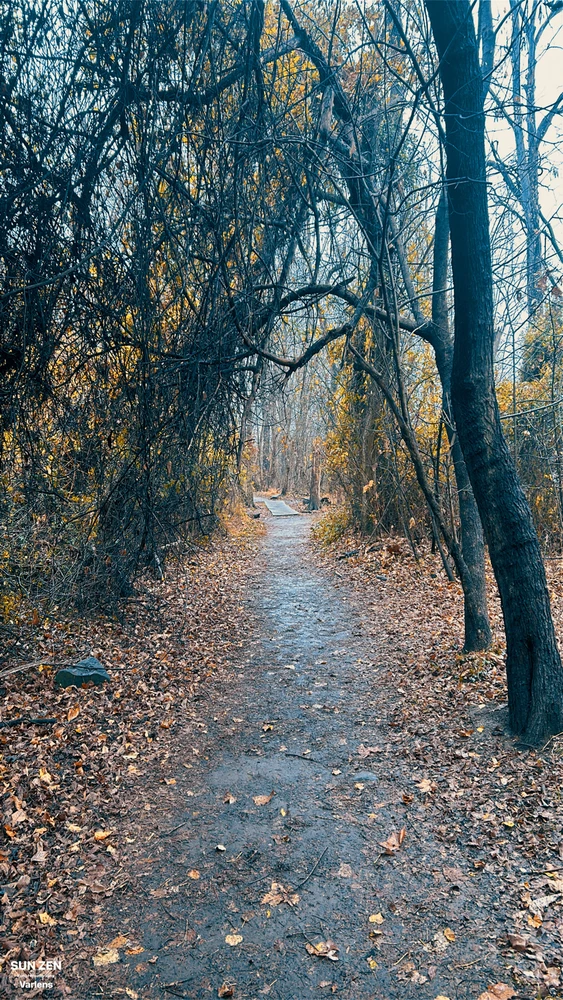 Image uploaded by 9Lou