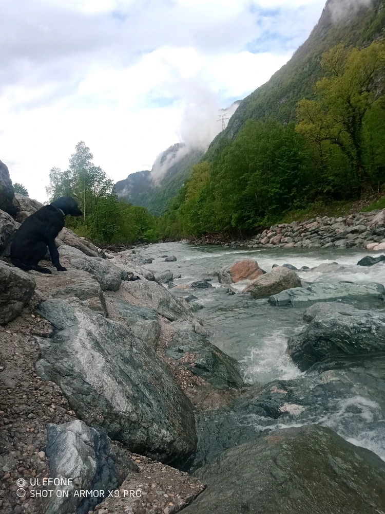 Image ajoutée par Virgil