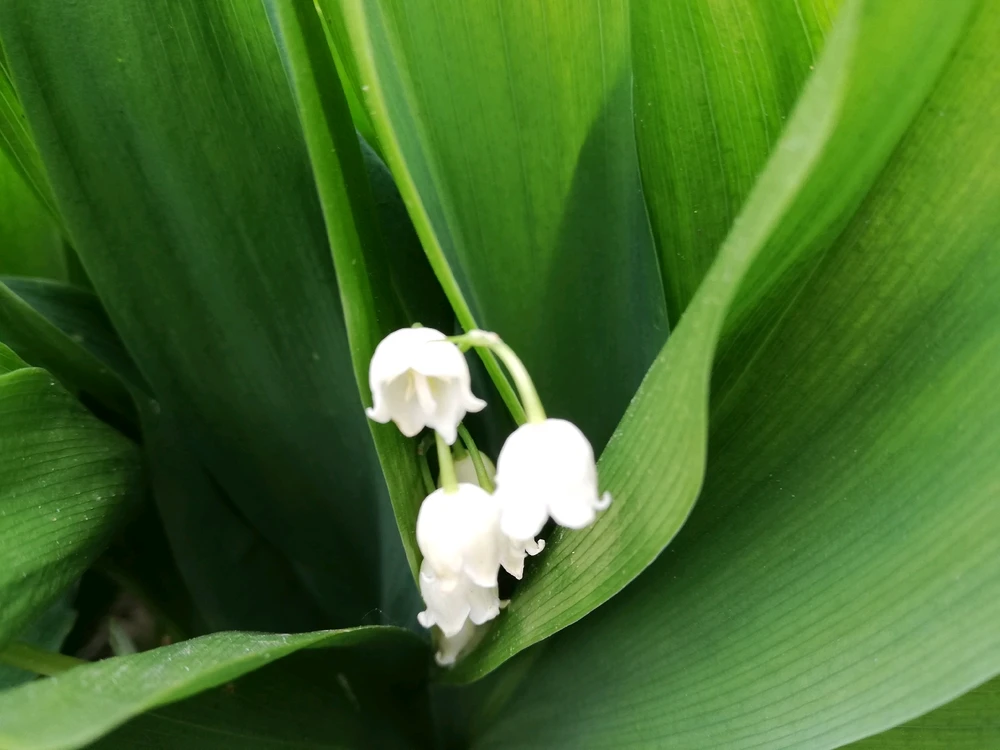 GIF uploaded by Kara