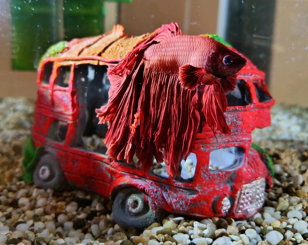 GIF загрузил Надежда