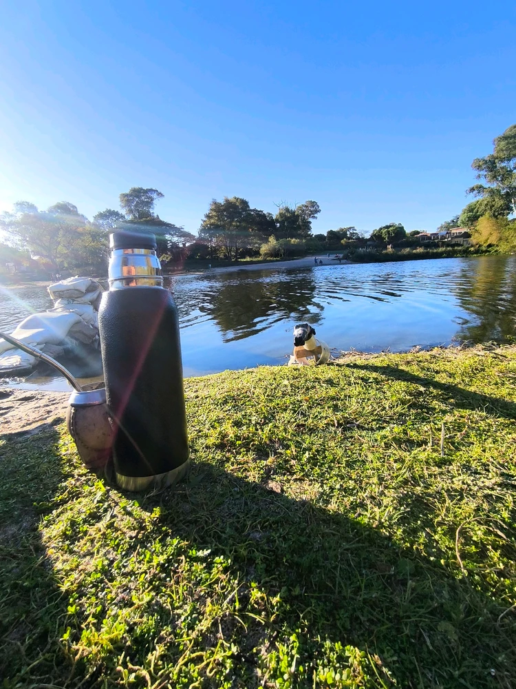 Imagen subida por Lucas