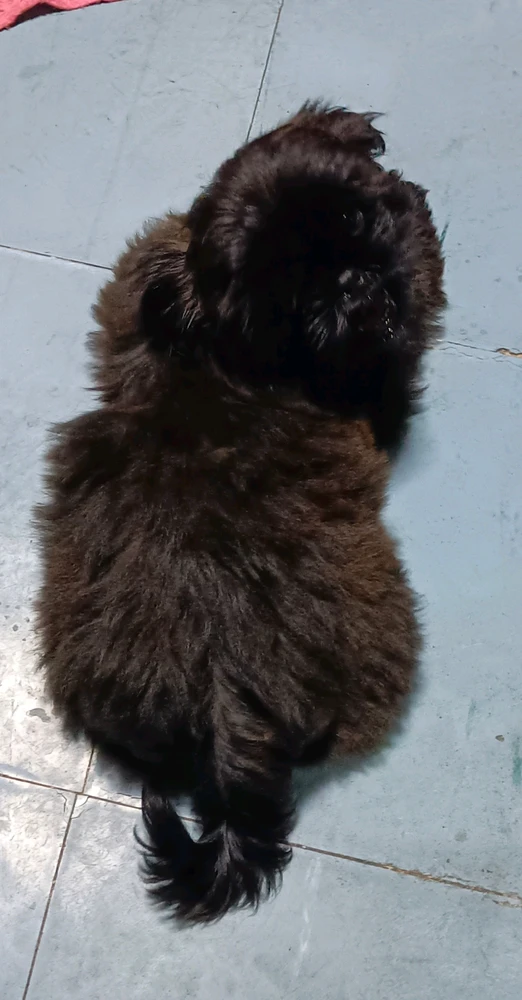 Image uploaded by Alva