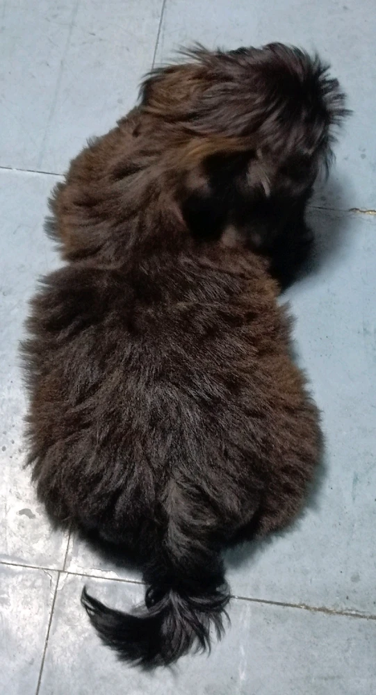 Image uploaded by Alva