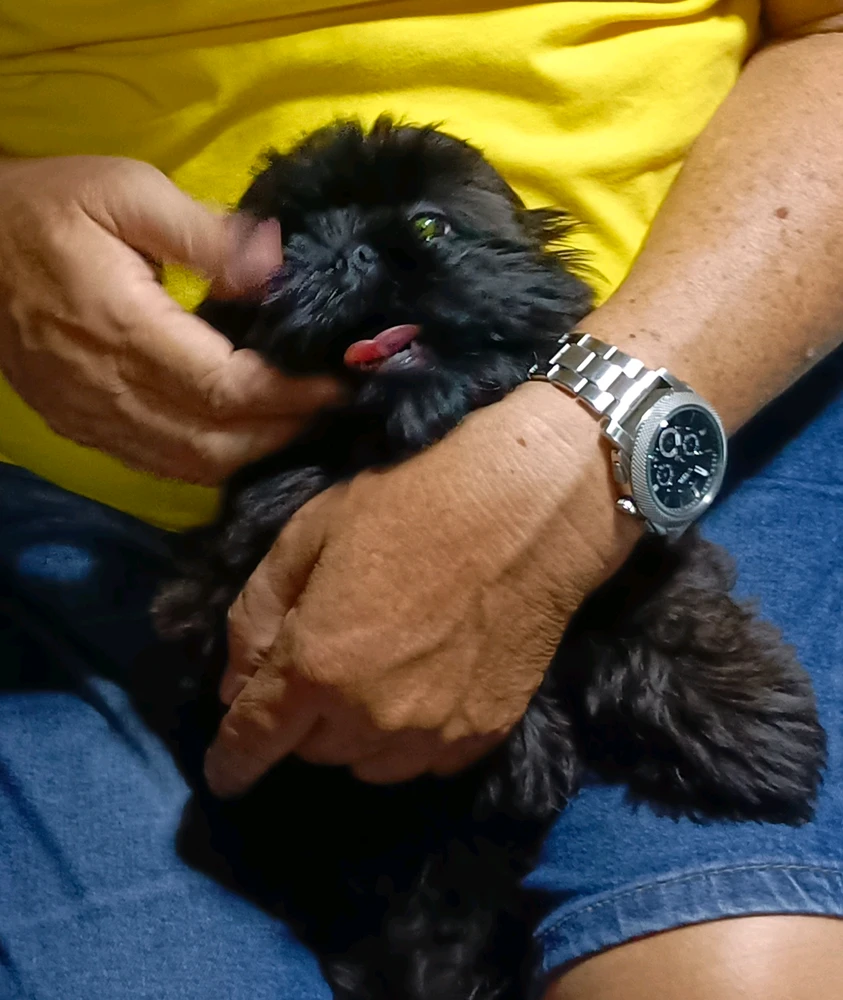 Image uploaded by Alva