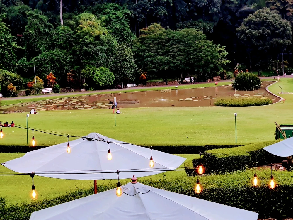 Image uploaded by Sulu