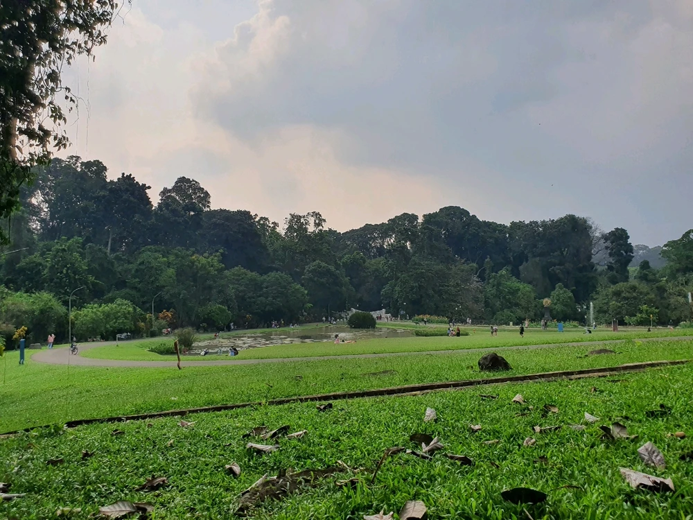 Image uploaded by Sulu