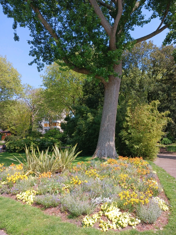 Image ajoutée par Vivi