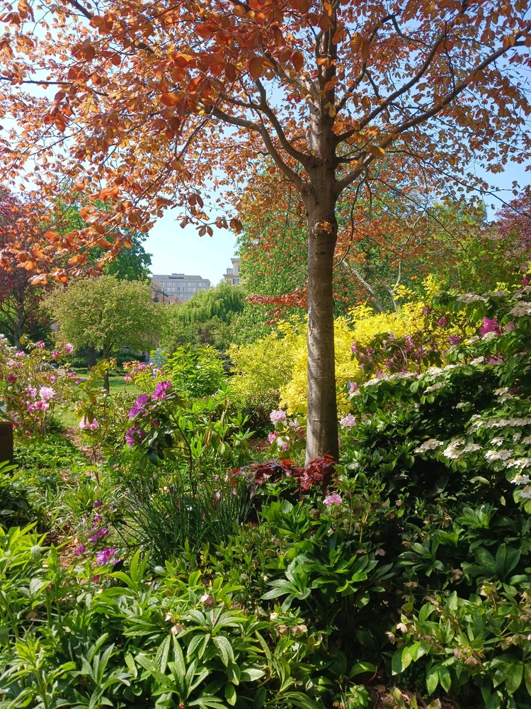 Image ajoutée par Vivi