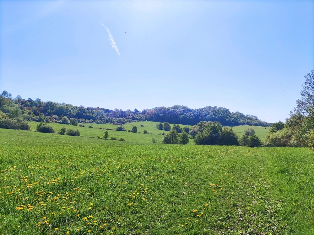 Obrázek nahrál Dave