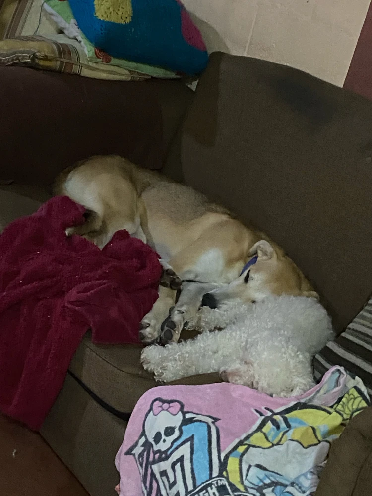 Imagen subida por Catalina