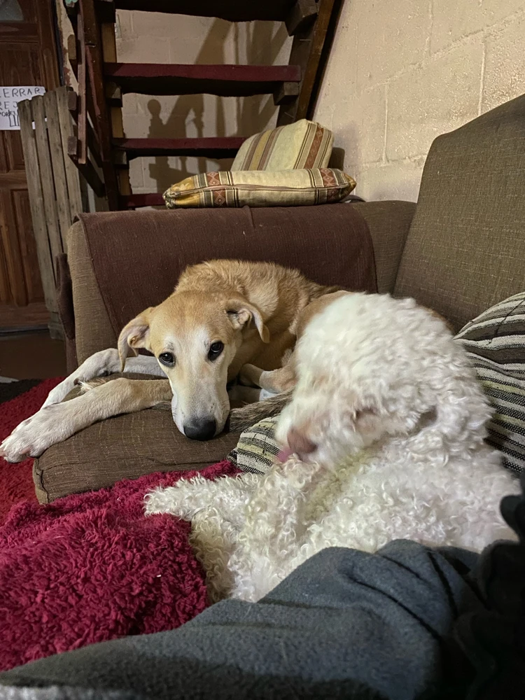 Imagen subida por Catalina