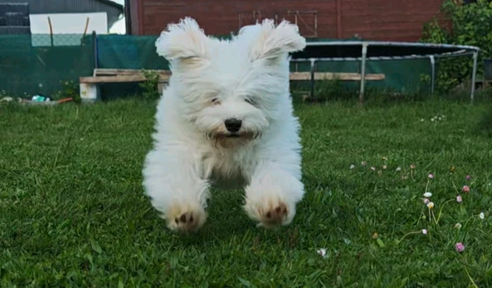 Фото загрузил Boriss