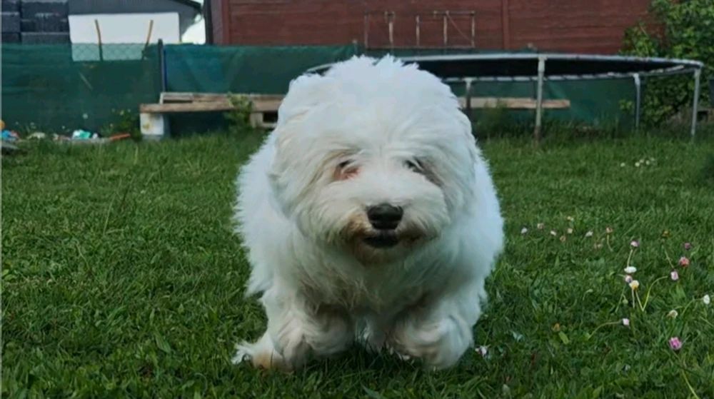 Фото загрузил Boriss