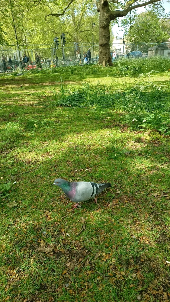 GIF diunggah dening Couchie