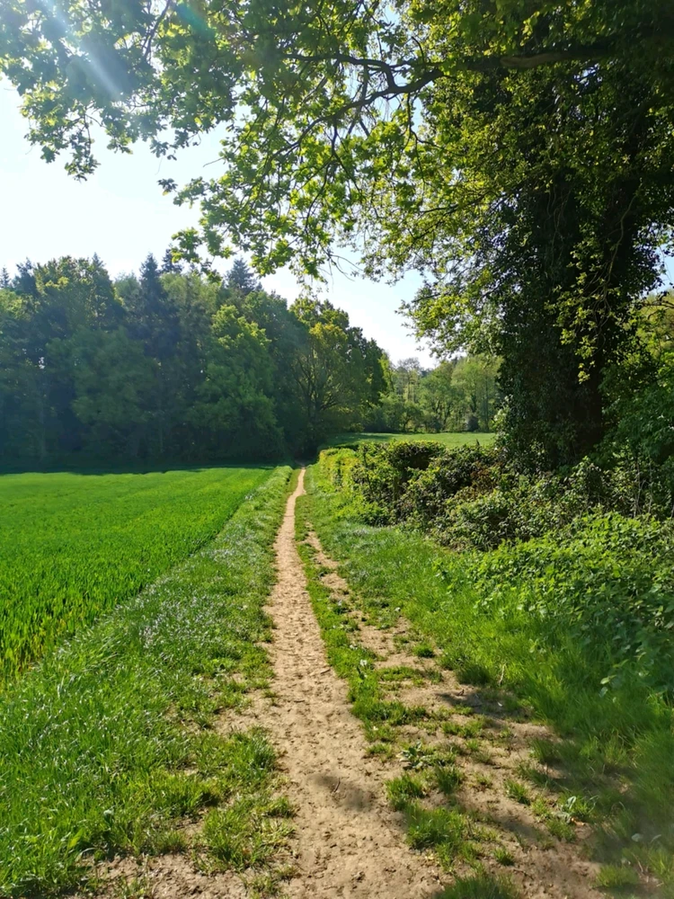 Image ajoutée par Coralie