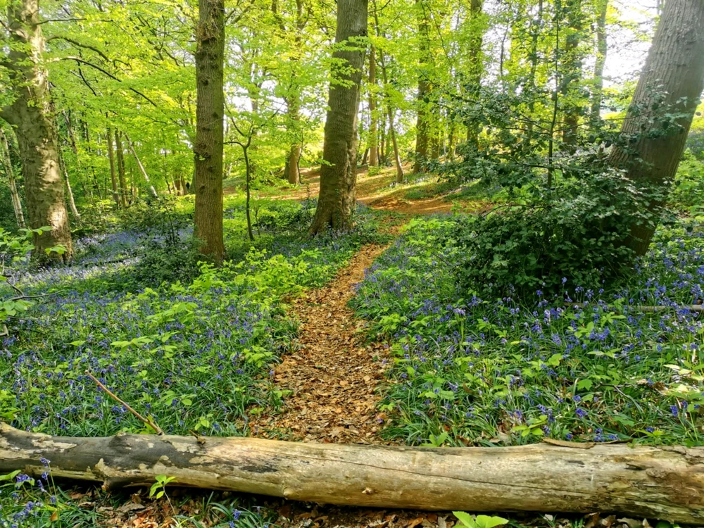 Image ajoutée par Coralie