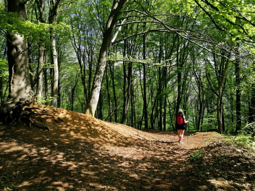 Image ajoutée par Coralie