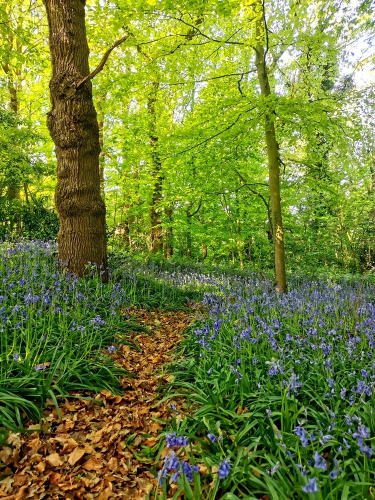 Image ajoutée par Coralie