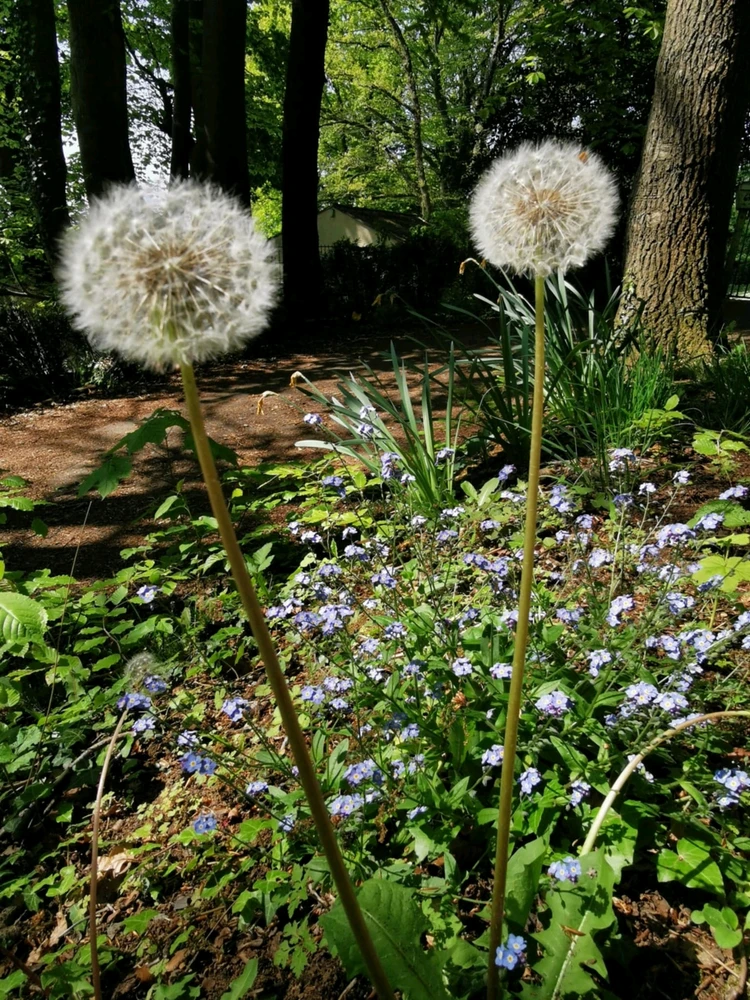 Image ajoutée par Coralie