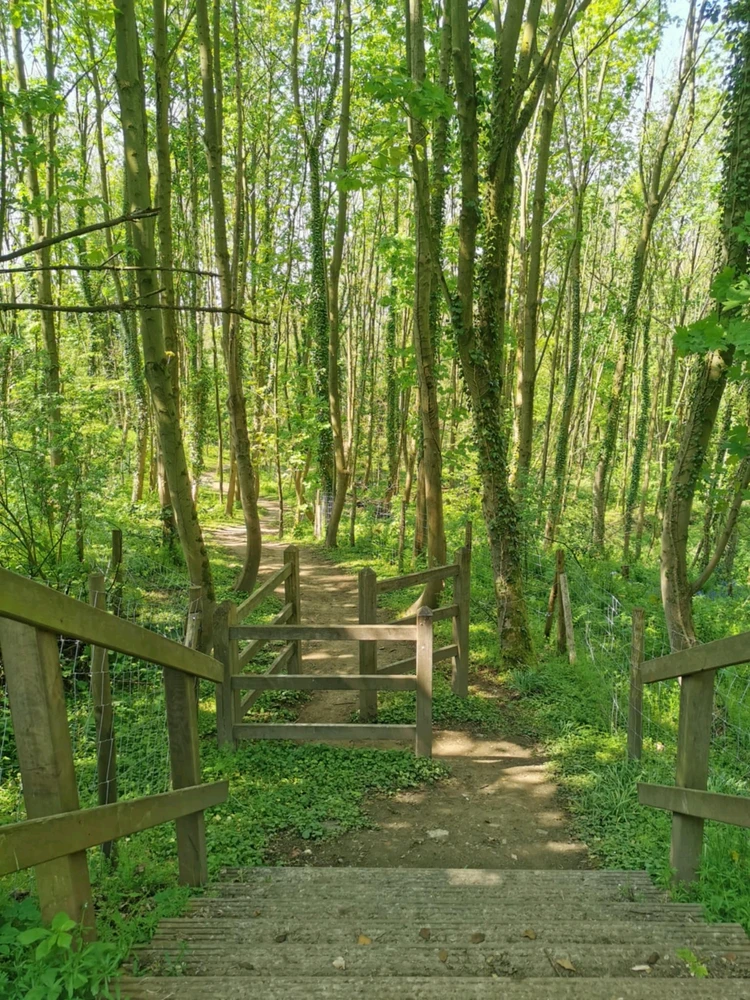 Image ajoutée par Coralie