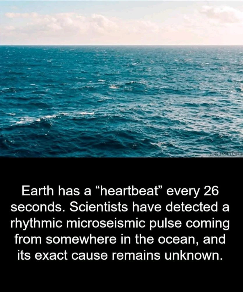 GIF uploaded by Grant